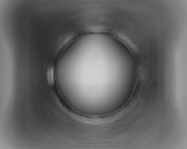 X0000111210014200907081311