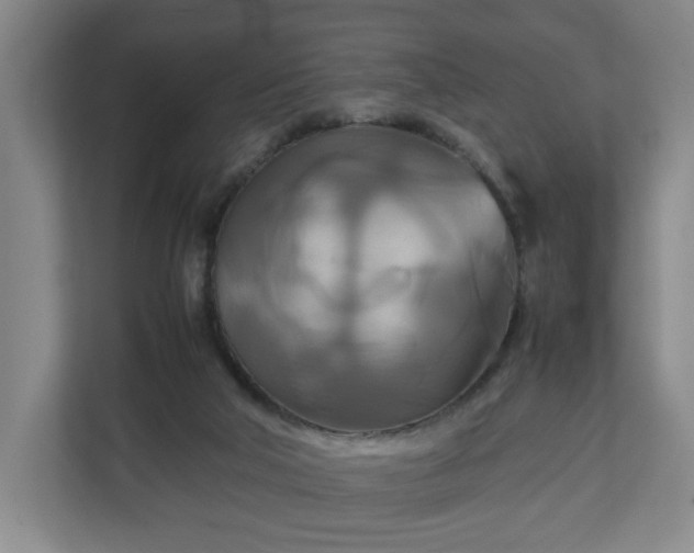 X0000111210018200907081311