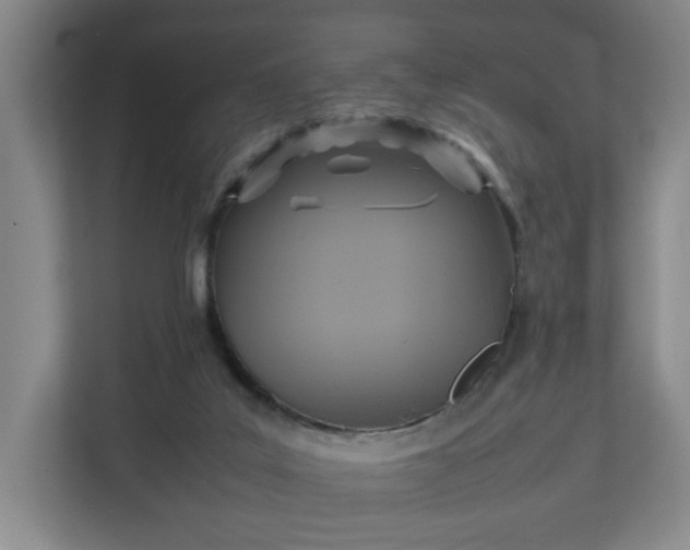 X0000111210019200907081311