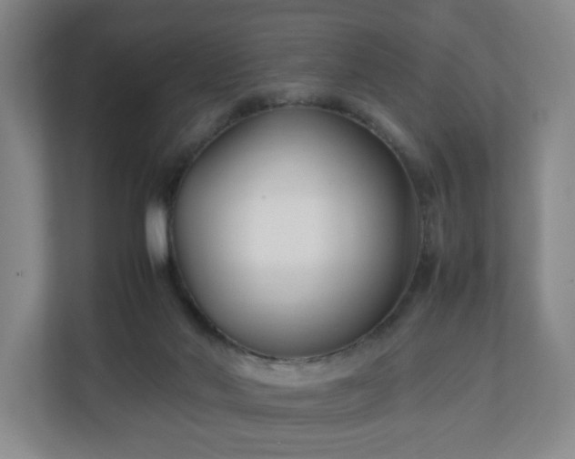 X0000111210022200907081311