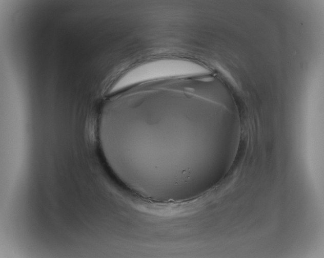 X0000111210023200907081311