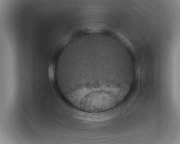 X0000111210026200907081311