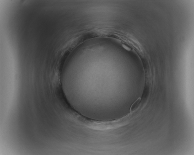 X0000111210029200907081311