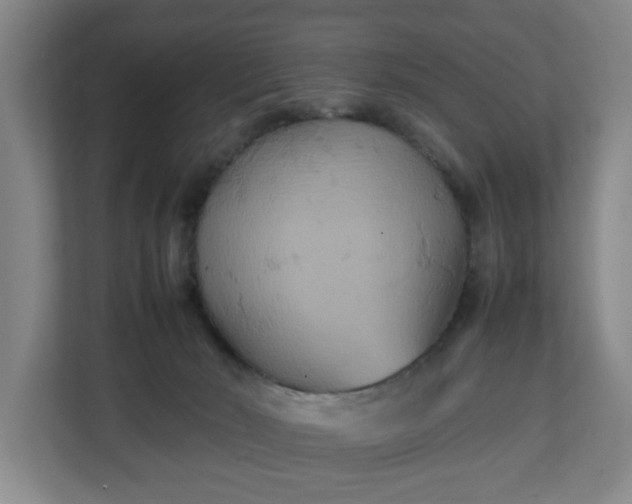 X0000111210030200907081311