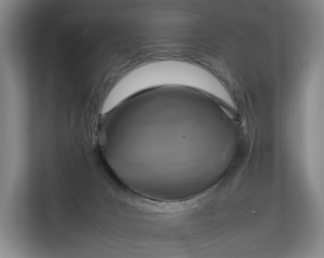 X0000111210031200907081311