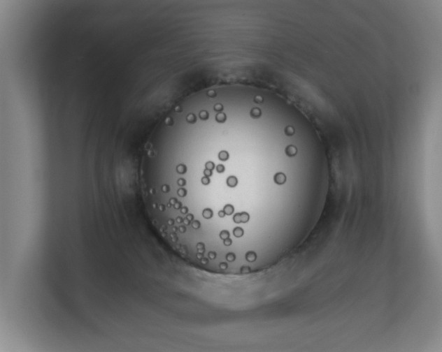 X0000111210034200907081311