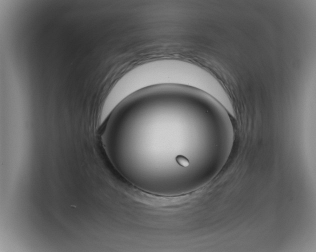 X0000111210035200907081311