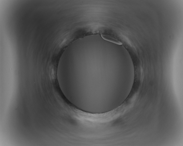 X0000111210039200907081310