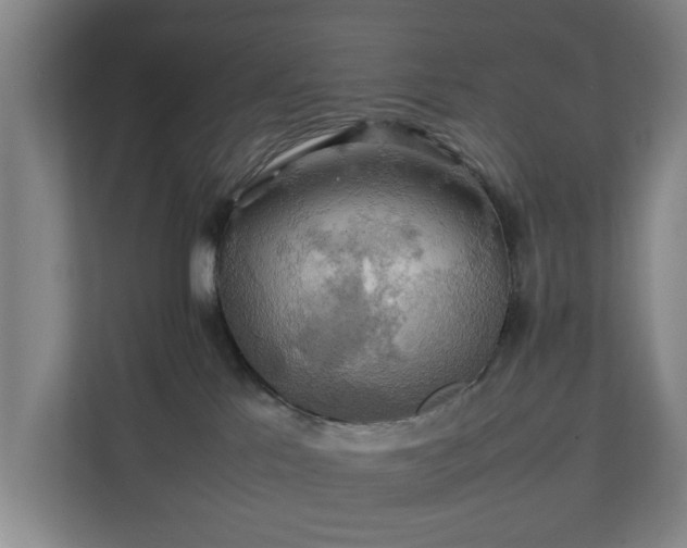 X0000111210041200907081310