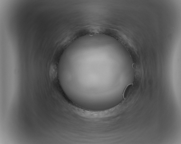 X0000111210043200907081310