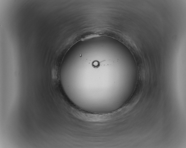 X0000111210044200907081310