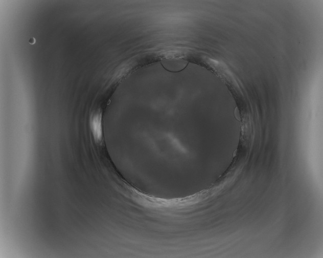 X0000111210046200907081310