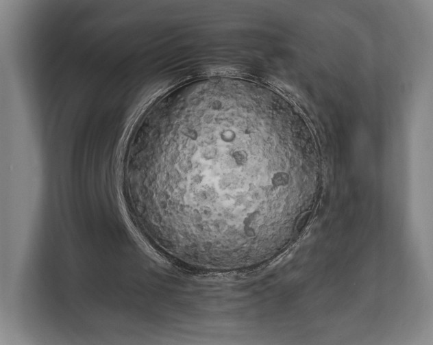 X0000111210049200907081310