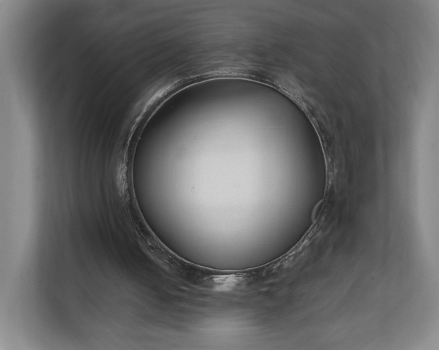 X0000111210050200907081310