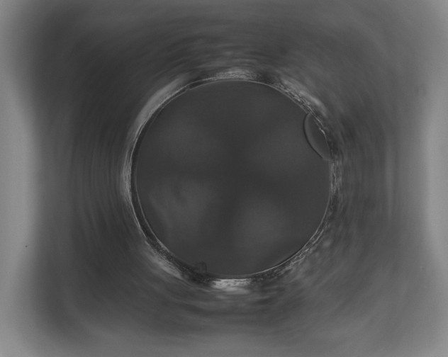 X0000111210051200907081310