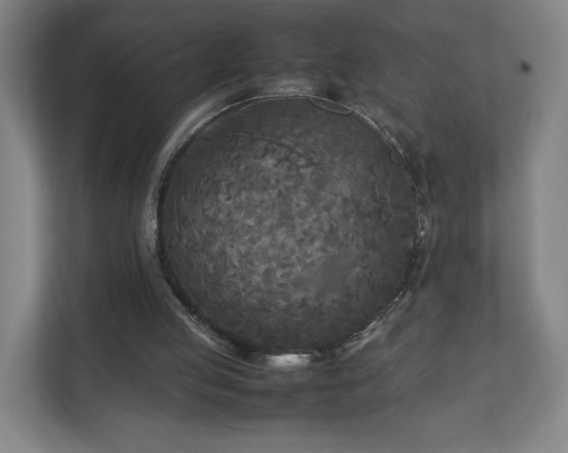 X0000111210053200907081310