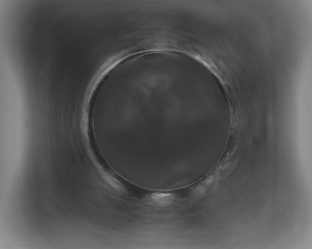 X0000111210055200907081310