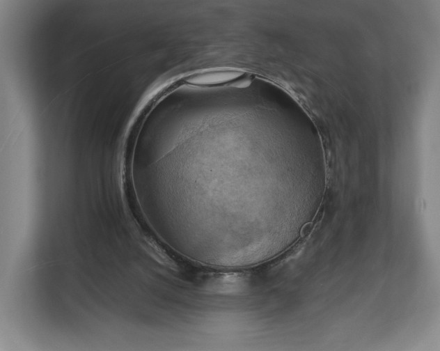 X0000111210056200907081310