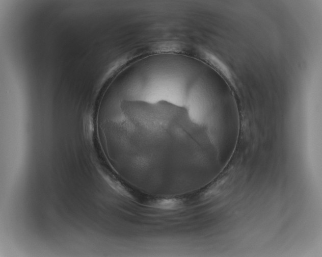 X0000111210059200907081310