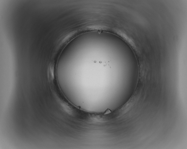 X0000111210062200907081310