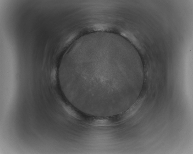 X0000111210066200907081310