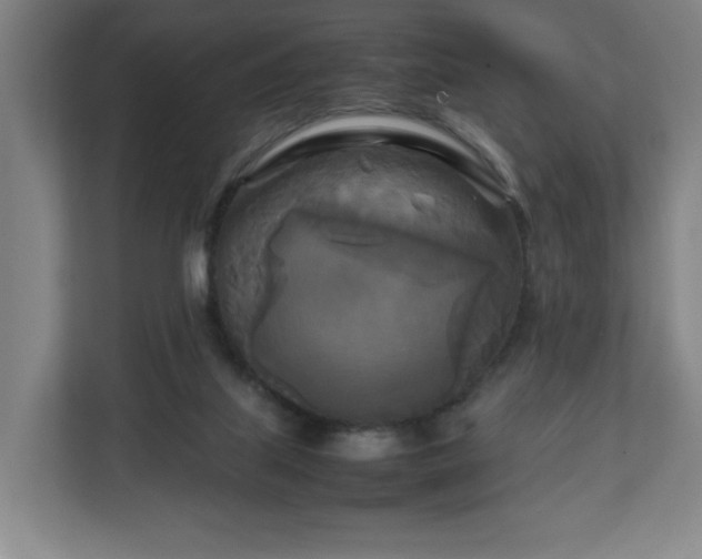 X0000111210067200907081310