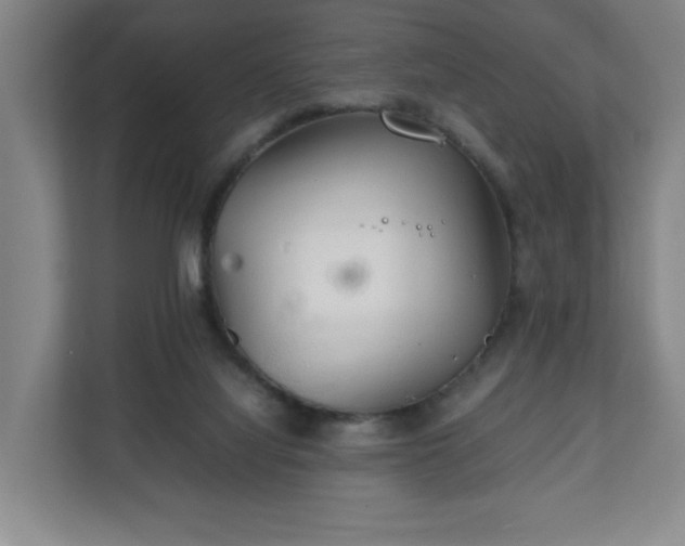 X0000111210068200907081310