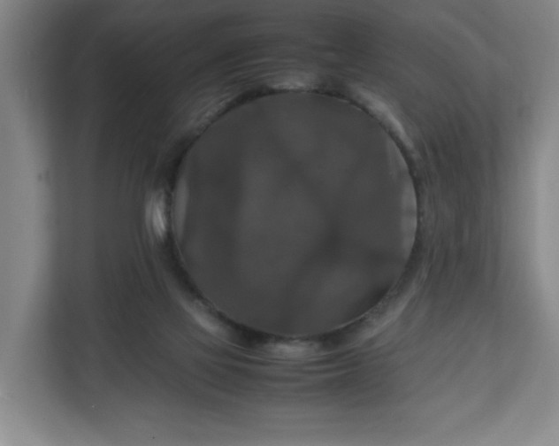 X0000111210069200907081310