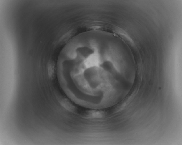 X0000111210073200907081310