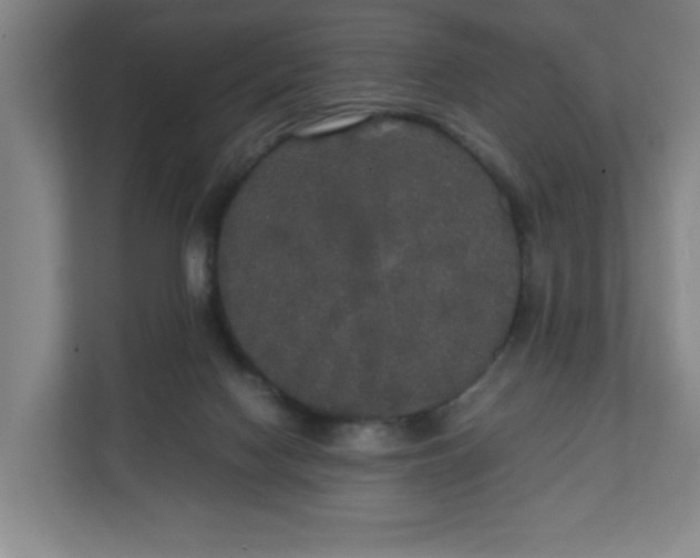 X0000111210074200907081310