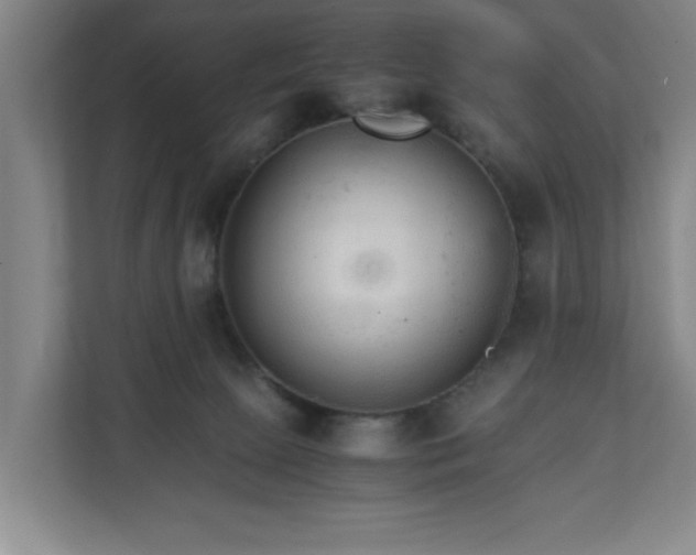 X0000111210081200907081310