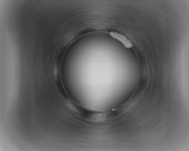 X0000111210084200907081310