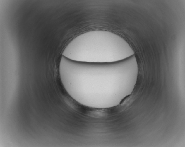 X0000111210086200907081310