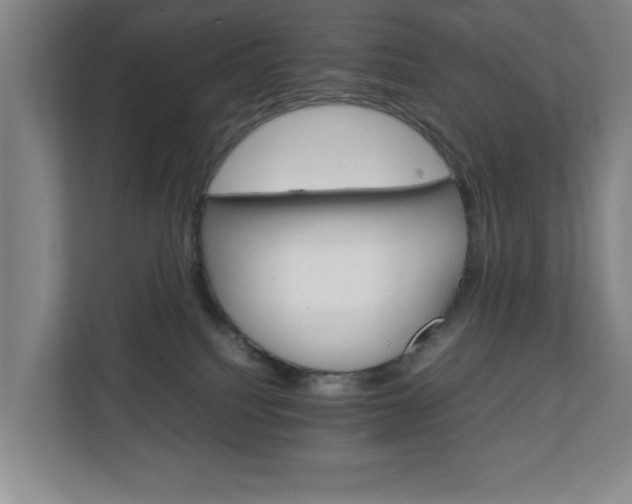 X0000111210088200907081310