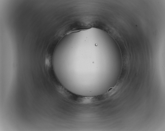 X0000111210090200907081310