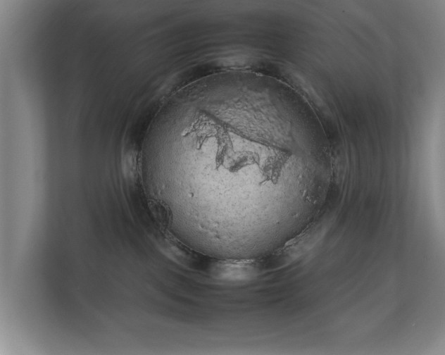 X0000111210093200907081310