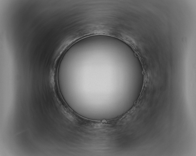 X0000111210098200907081310