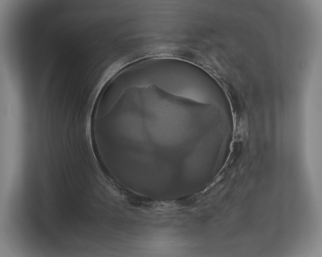 X0000111210099200907081310