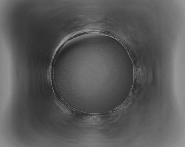 X0000111210100200907081310