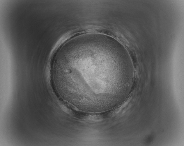 X0000111210101200907081310