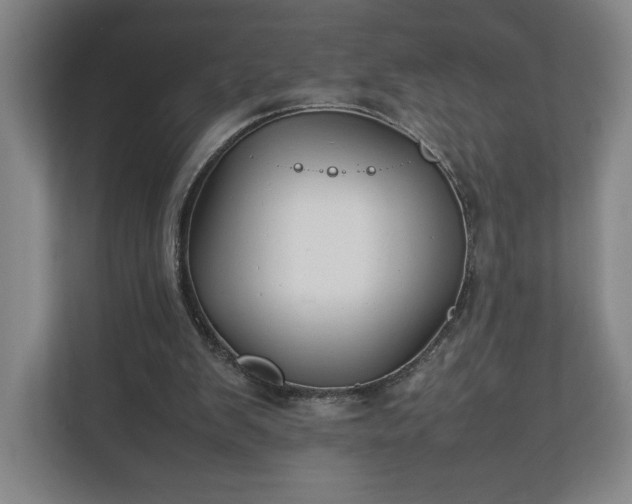 X0000111210103200907081310