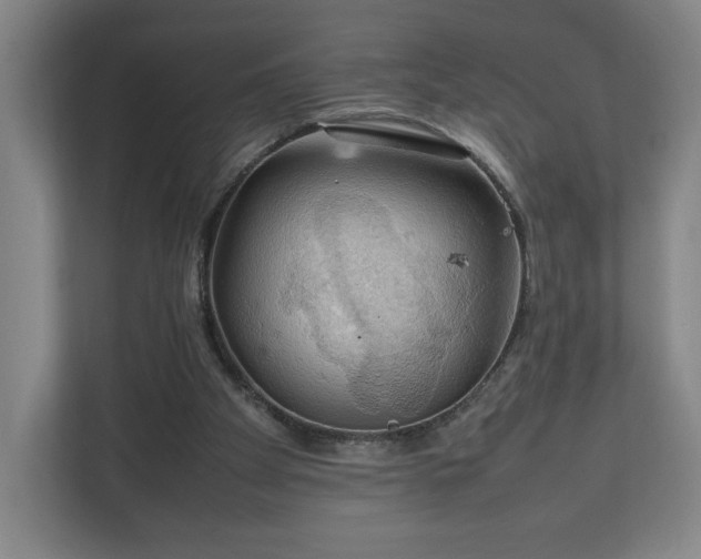 X0000111210105200907081310