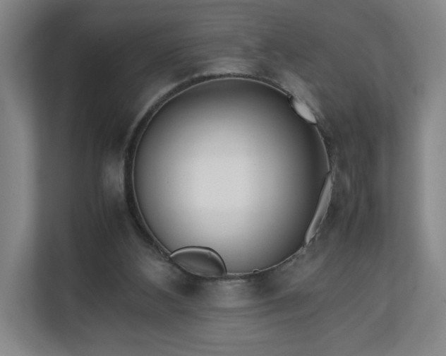 X0000111210108200907081310