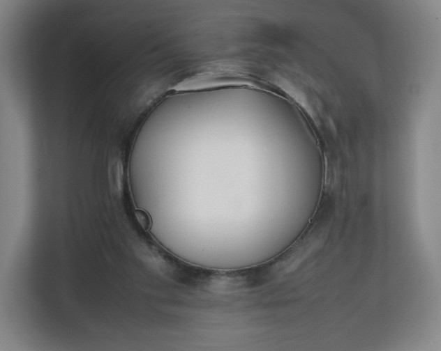 X0000111210109200907081310