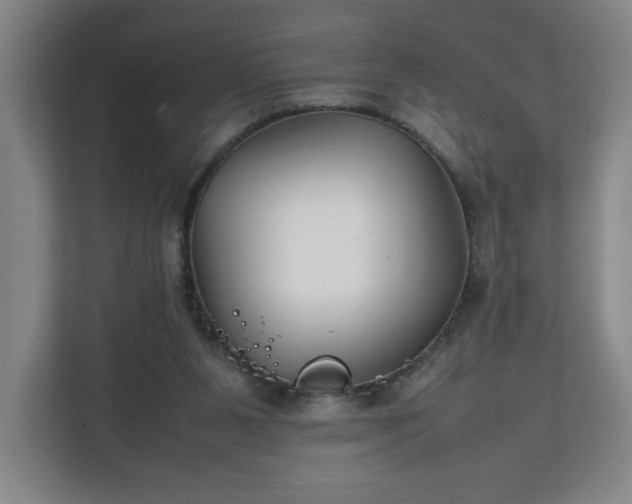 X0000111210111200907081310