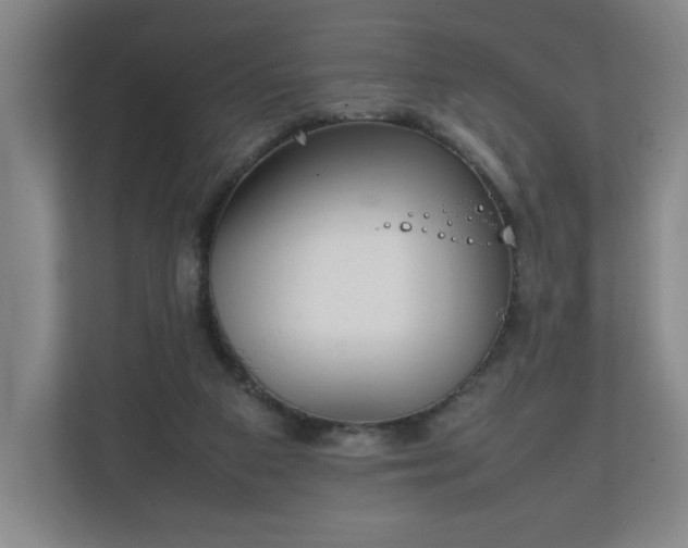 X0000111210113200907081310