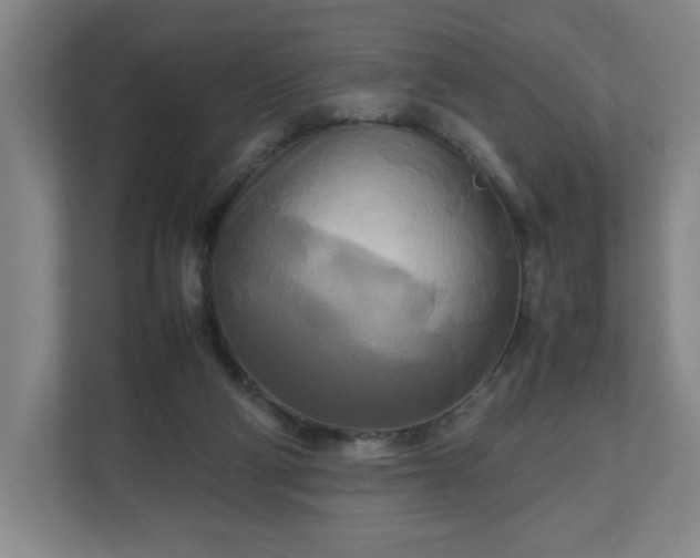 X0000111210114200907081310