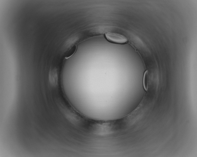 X0000111210120200907081309