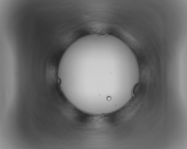 X0000111210121200907081309