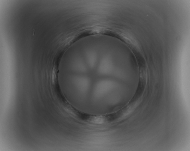 X0000111210127200907081309